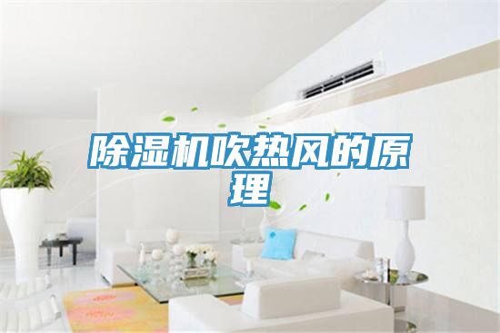 91看片网站吹熱風的原理