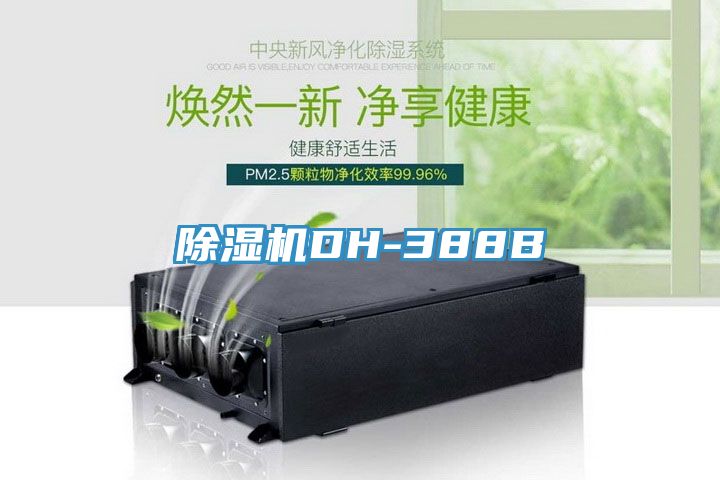 91看片网站DH-388B