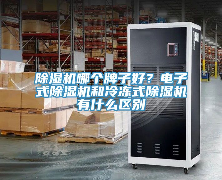 91看片网站哪個牌子好？電子式91看片网站和冷凍式91看片网站有什麽區別