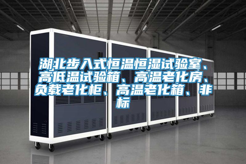 湖北步入式恒溫恒濕試驗室、高低溫試驗箱、高溫老化房、負載老化櫃、高溫老化箱、非標