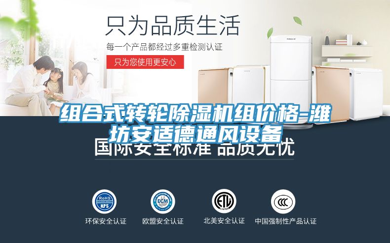 組合式轉輪91看片网站組價格-濰坊安適德通風設備