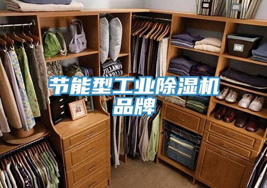 節能型工業91看片网站品牌