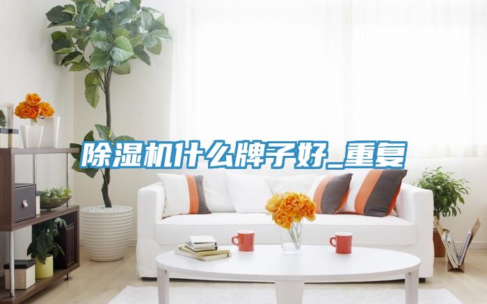 91看片网站什麽牌子好_重複