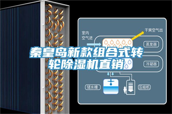 秦皇島新款組合式轉輪91看片网站直銷
