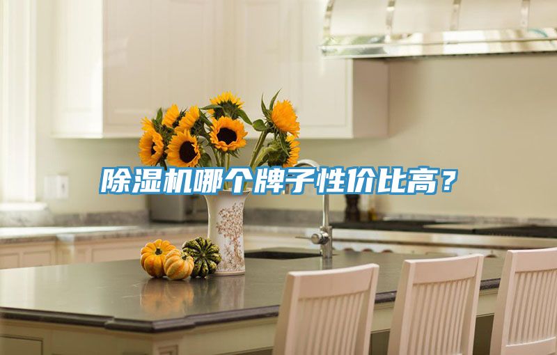 91看片网站哪個牌子性價比高？