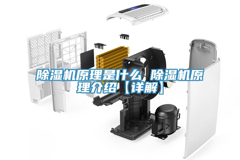 91看片网站原理是什麽 91看片网站原理介紹【詳解】