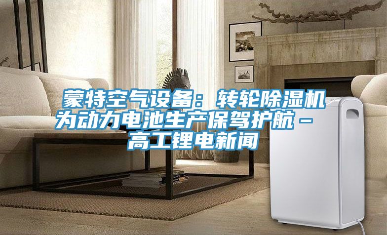 蒙特空氣設備：轉輪91看片网站為動力電池生產保駕護航– 高工鋰電新聞