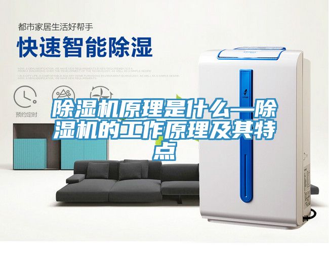 91看片网站原理是什麽—91看片网站的工作原理及其特點