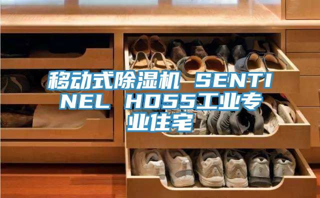 移動式91看片网站 SENTINEL HD55工業專業住宅