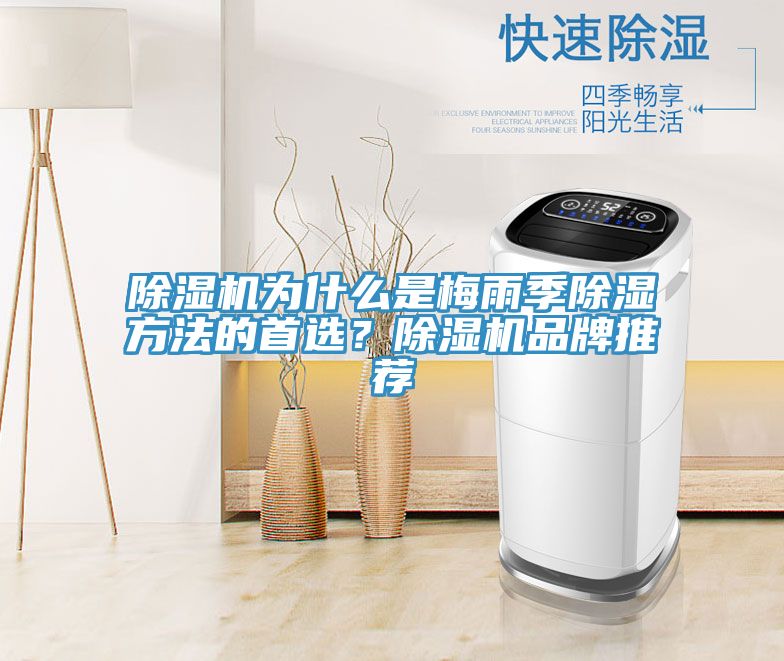 91看片网站為什麽是梅雨季除濕方法的首選？91看片网站品牌推薦
