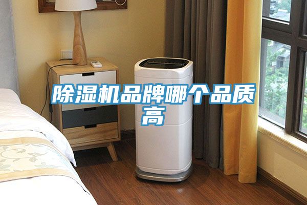 91看片网站品牌哪個品質高