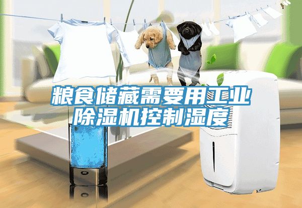 糧食儲藏需要用工業91看片网站控製濕度