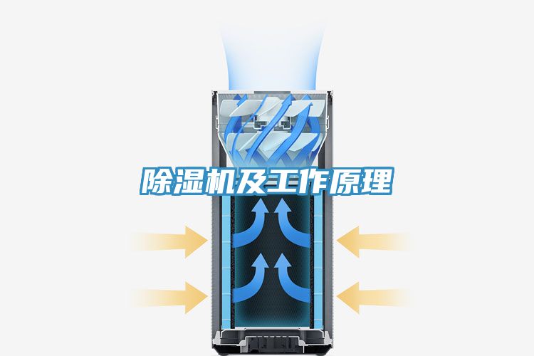 91看片网站及工作原理