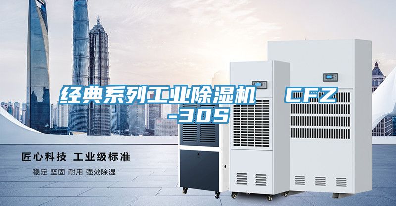 經典係列工業91看片网站  CFZ-30S