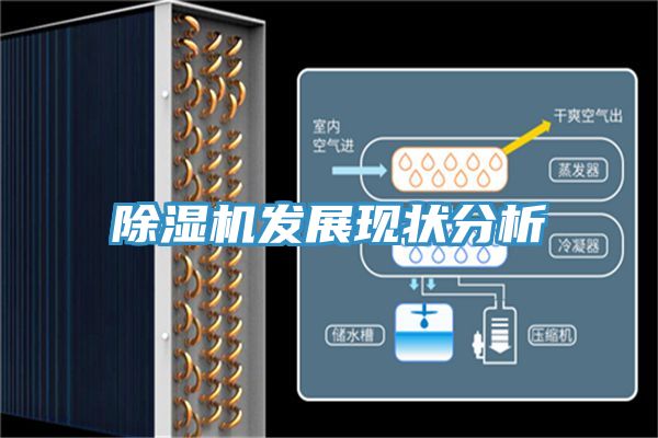 91看片网站發展現狀分析