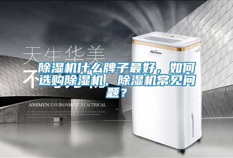 91看片网站什麽牌子最好，如何選購91看片网站，91看片网站常見問題？