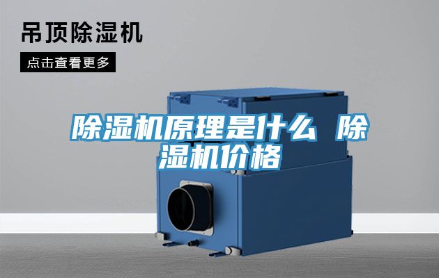 91看片网站原理是什麽 91看片网站價格