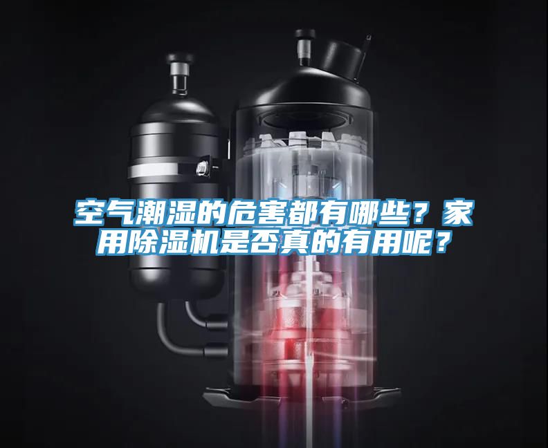 空氣潮濕的危害都有哪些？家用91看片网站是否真的有用呢？