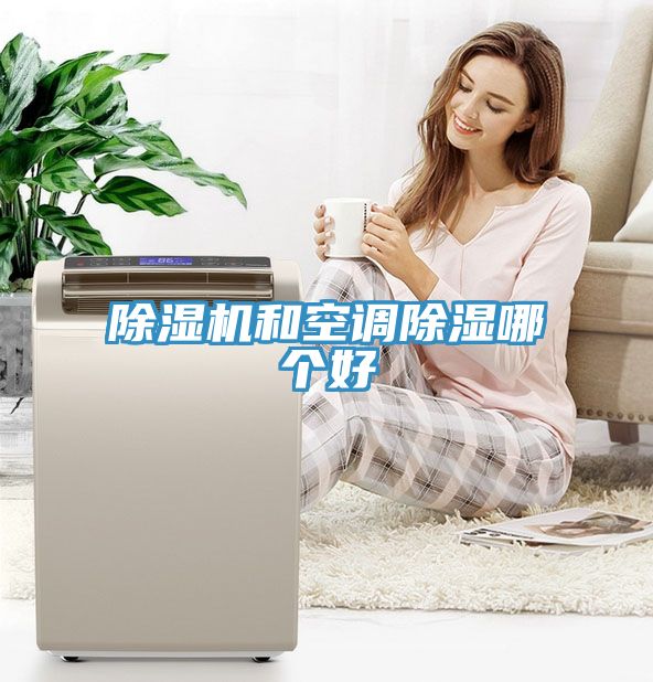 91看片网站和空調除濕哪個好