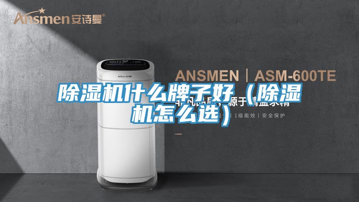 91看片网站什麽牌子好（91看片网站怎麽選）
