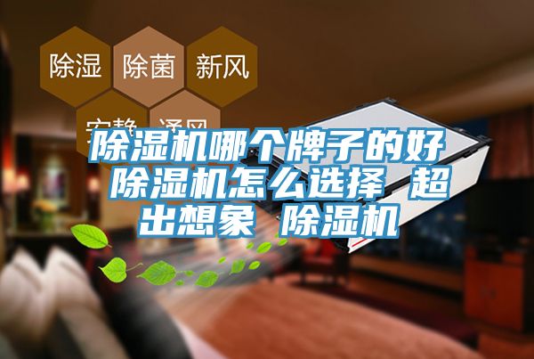 91看片网站哪個牌子的好 91看片网站怎麽選擇 超出想象 91看片网站