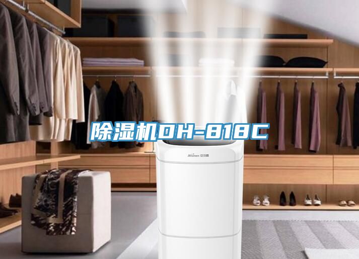 91看片网站DH-818C
