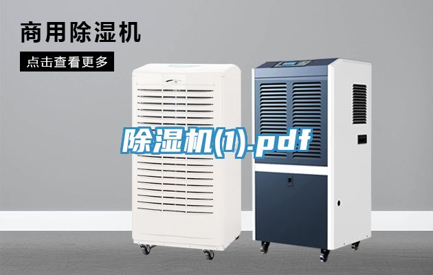 91看片网站(1).pdf