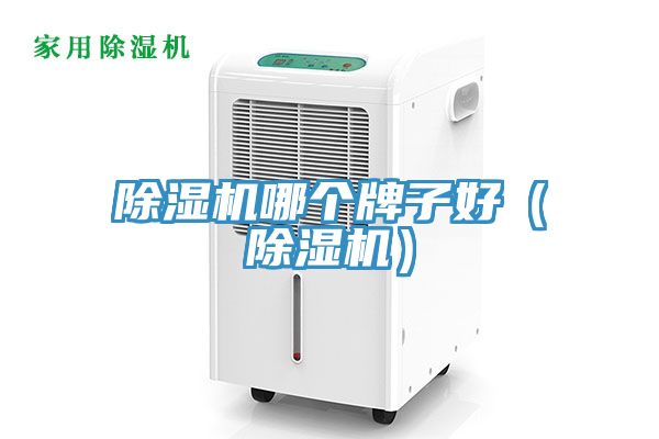 91看片网站哪個牌子好（91看片网站）