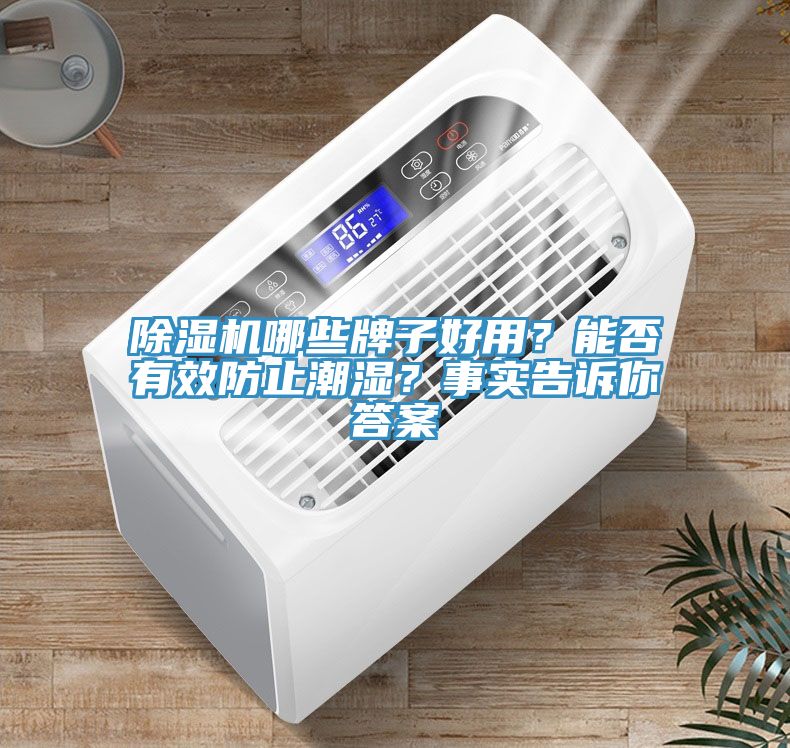 91看片网站哪些牌子好用？能否有效防止潮濕？事實告訴你答案