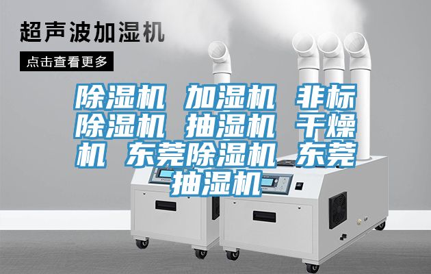 91看片网站 加濕機 非標91看片网站 抽濕機 幹燥機 東莞91看片网站 東莞抽濕機