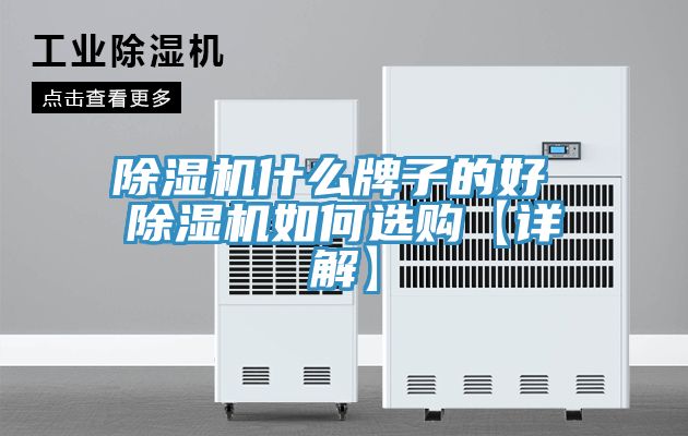 91看片网站什麽牌子的好 91看片网站如何選購【詳解】