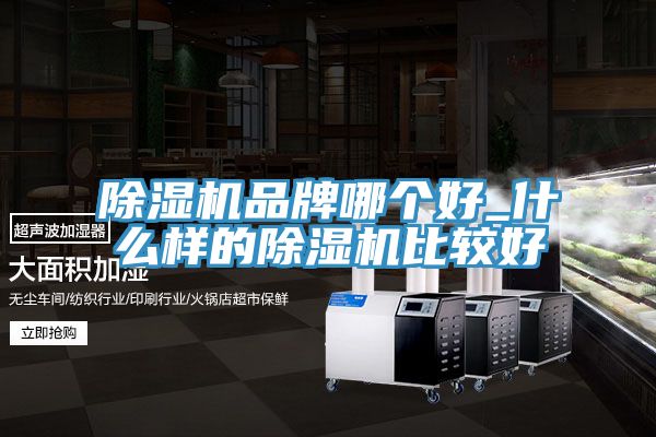 91看片网站品牌哪個好_什麽樣的91看片网站比較好