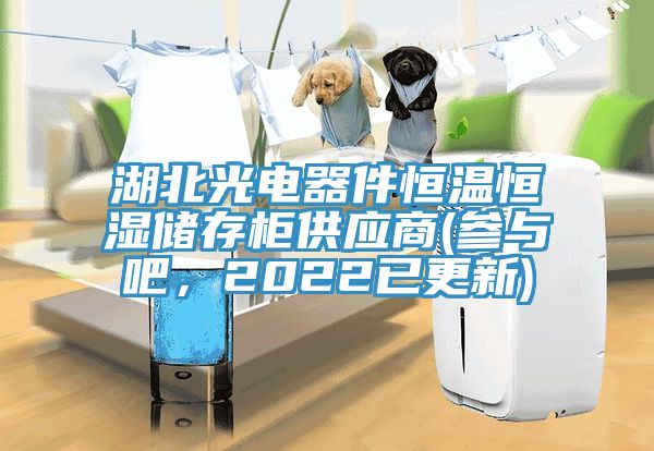 湖北光電器件恒溫恒濕儲存櫃供應商(參與吧，2022已更新)