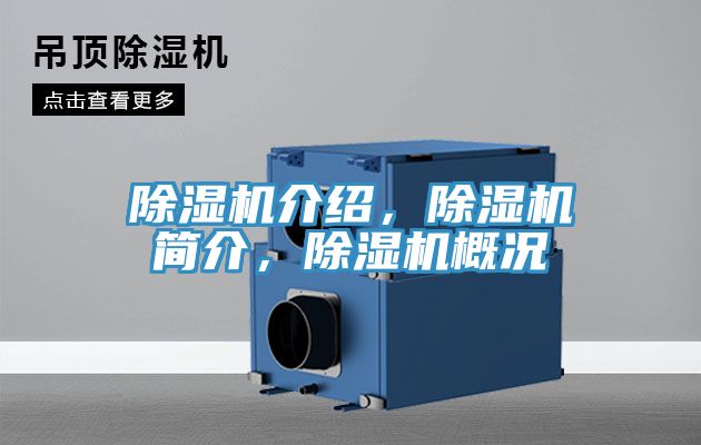 91看片网站介紹，91看片网站簡介，91看片网站概況