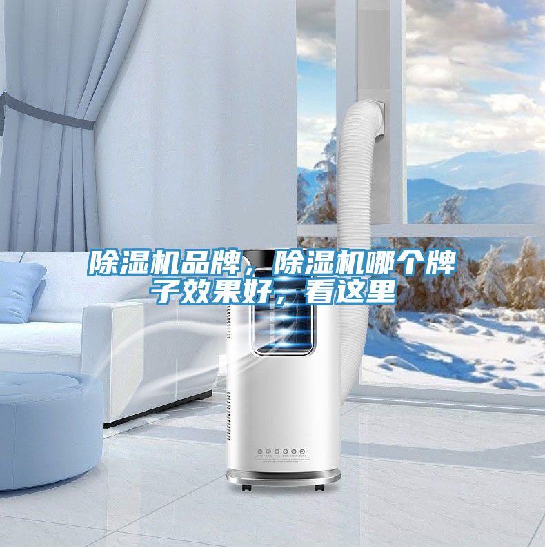 91看片网站品牌，91看片网站哪個牌子效果好，看這裏