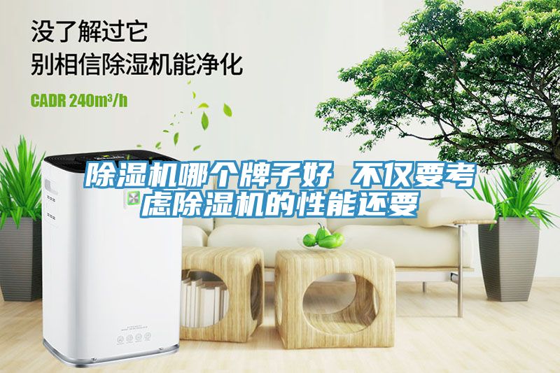91看片网站哪個牌子好 不僅要考慮91看片网站的性能還要