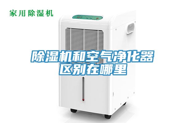 91看片网站和空氣淨化器區別在哪裏