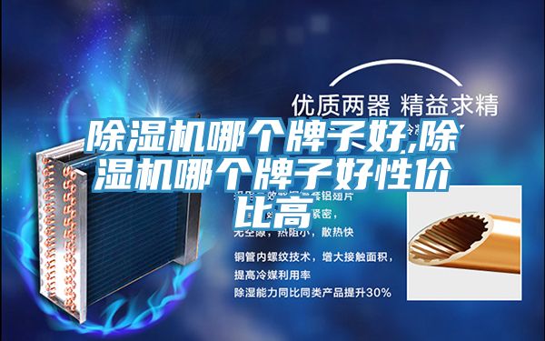 91看片网站哪個牌子好,91看片网站哪個牌子好性價比高