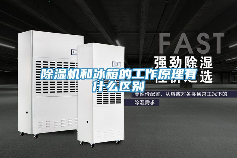 91看片网站和冰箱的工作原理有什麽區別