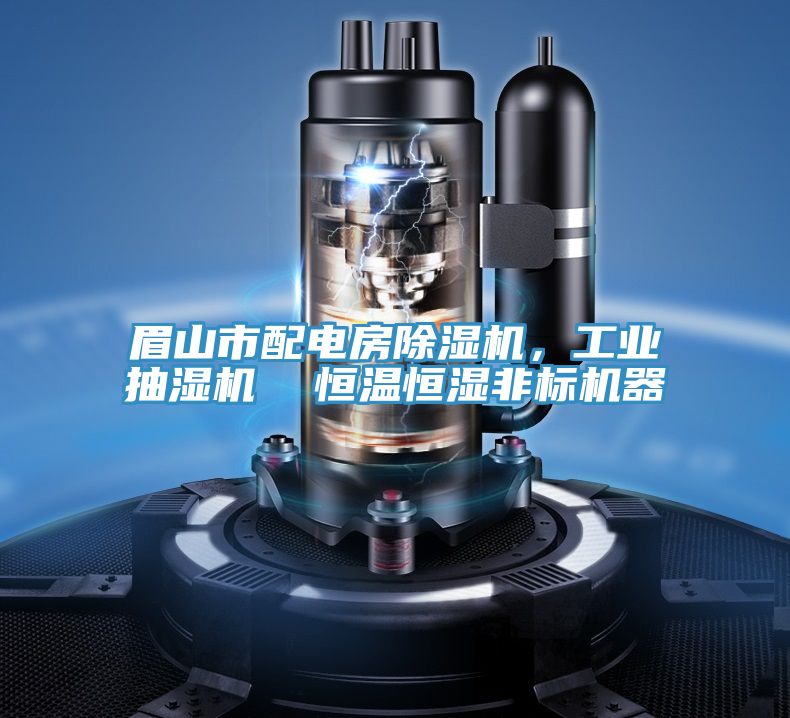 眉山市配電房91看片网站，工業抽濕機  恒溫恒濕非標機器