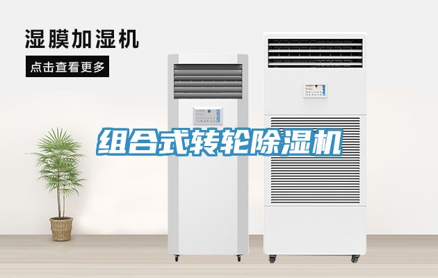 組合式轉輪91看片网站