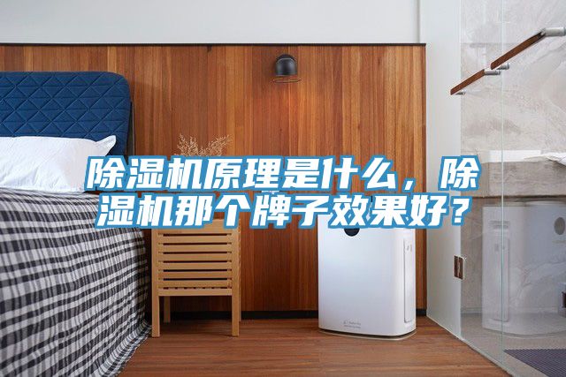 91看片网站原理是什麽，91看片网站那個牌子效果好？