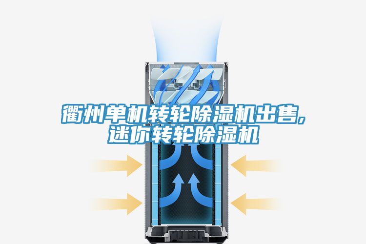 衢州單機轉輪91看片网站出售,迷你轉輪91看片网站