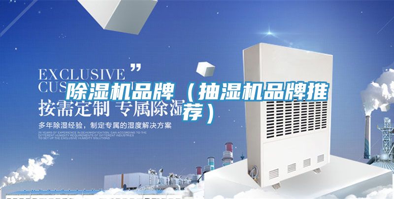 91看片网站品牌（抽濕機品牌推薦）