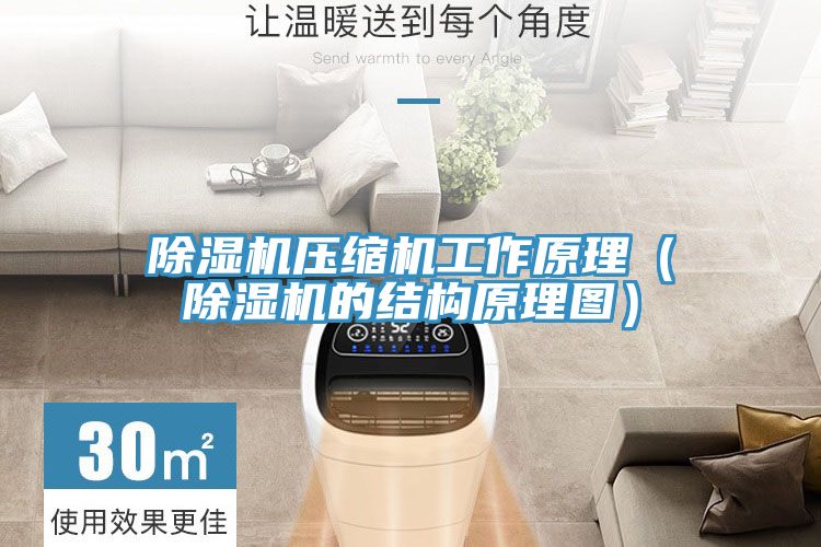 91看片网站壓縮機工作原理（91看片网站的結構原理圖）