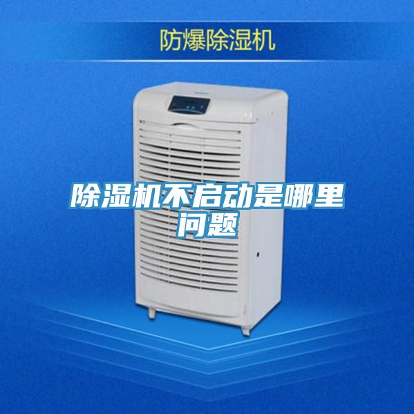 91看片网站不啟動是哪裏問題