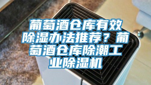 葡萄酒倉庫有效除濕辦法推薦？葡萄酒倉庫除潮工業91看片网站