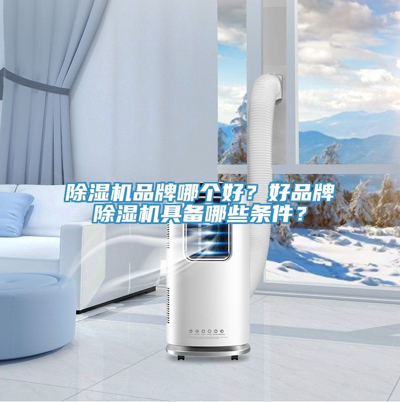 91看片网站品牌哪個好？好品牌91看片网站具備哪些條件？