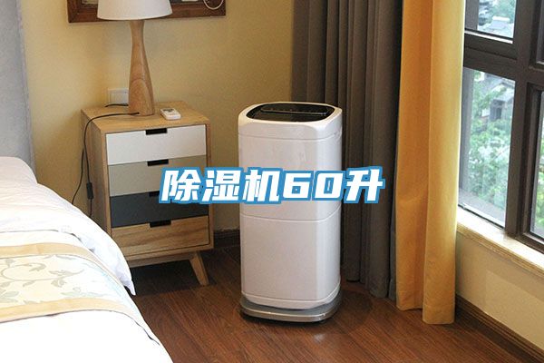 91看片网站60升