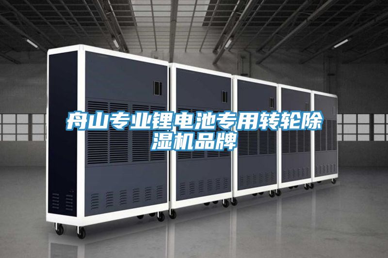 舟山專業鋰電池專用轉輪91看片网站品牌